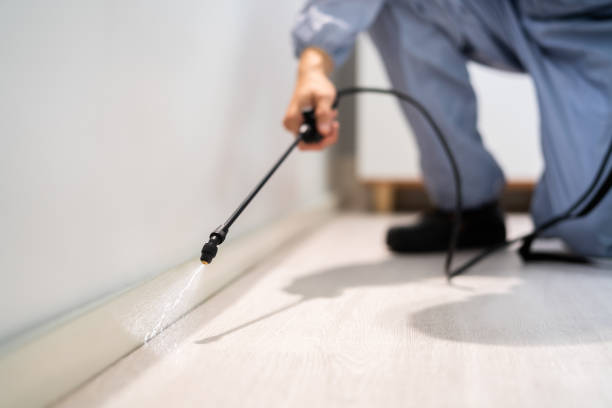 Licensed Cockroach Control service in El Paso County County, TX - Nex Pest Control